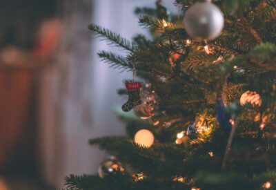 Artificial Christmas Trees vs Real Trees: Which is the Best Choice?