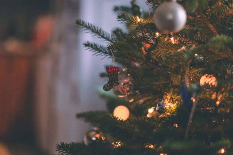 Artificial Christmas Trees vs Real Trees: Which is the Best Choice?