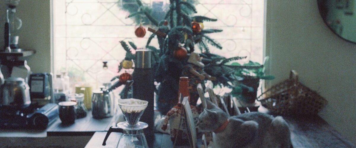 Discover heartwarming Christmas trees on sale and magical garlands with lights. Create lasting family memories this holiday season!