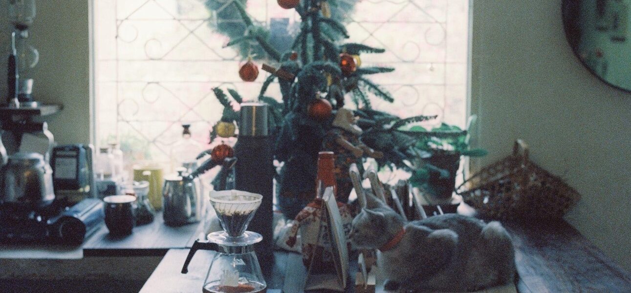 Discover heartwarming Christmas trees on sale and magical garlands with lights. Create lasting family memories this holiday season!