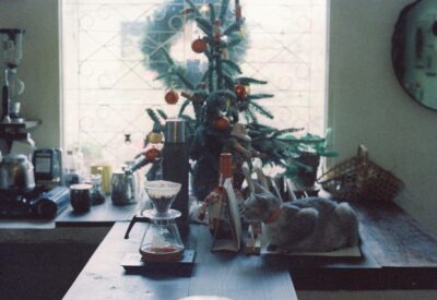 Discover heartwarming Christmas trees on sale and magical garlands with lights. Create lasting family memories this holiday season!